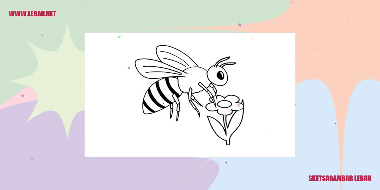 sketsa gambar lebah