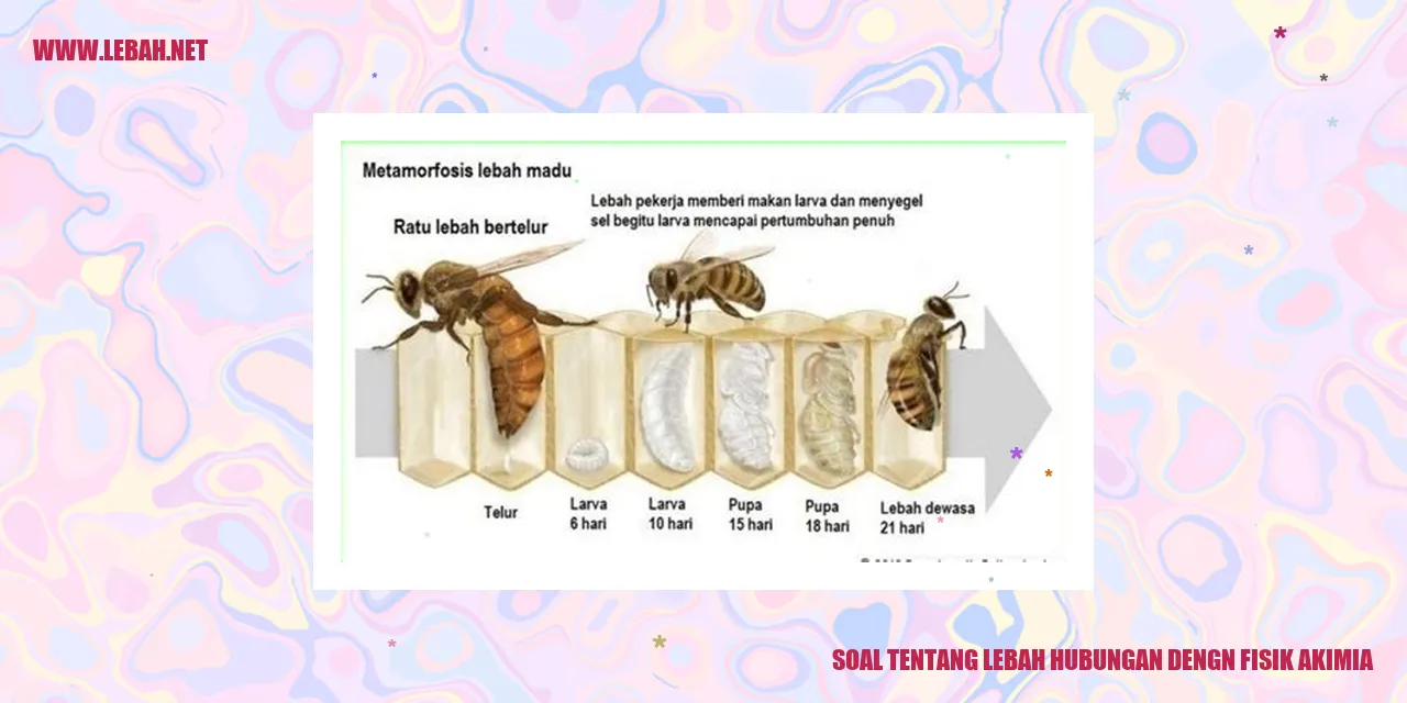 Lebah Madu