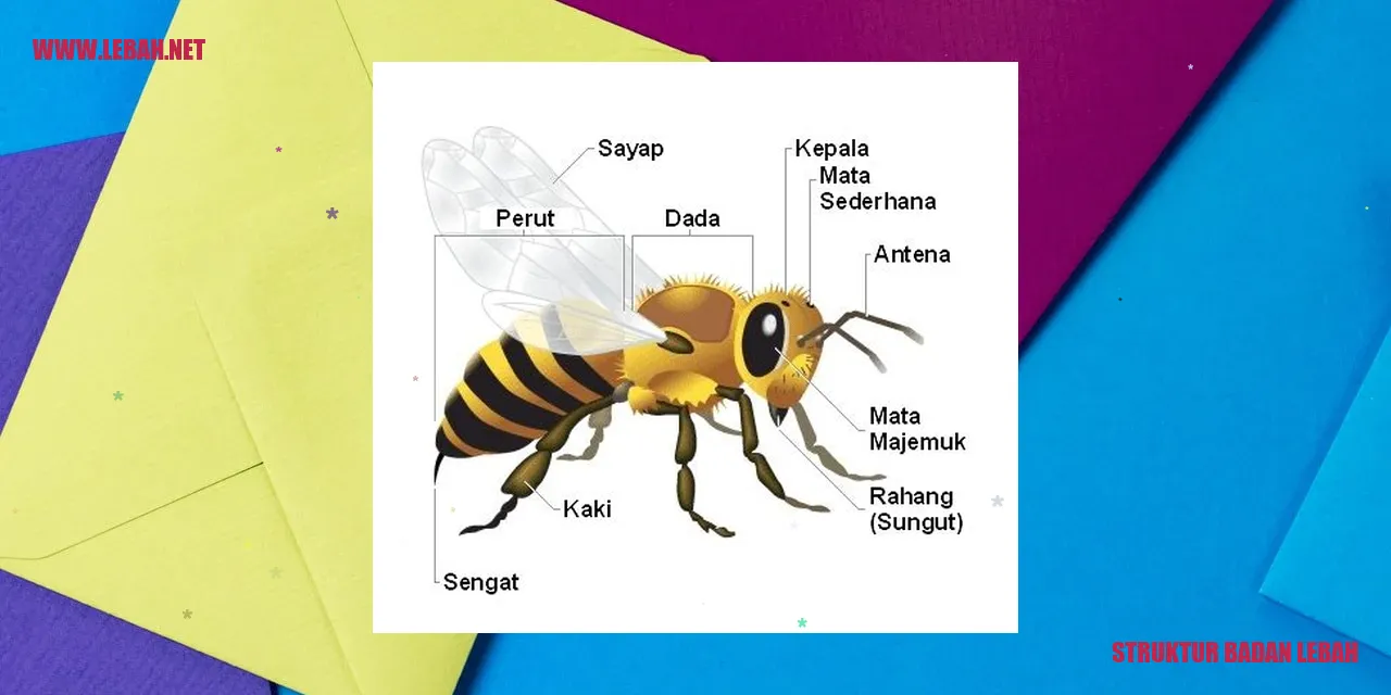 Struktur Badan Lebah