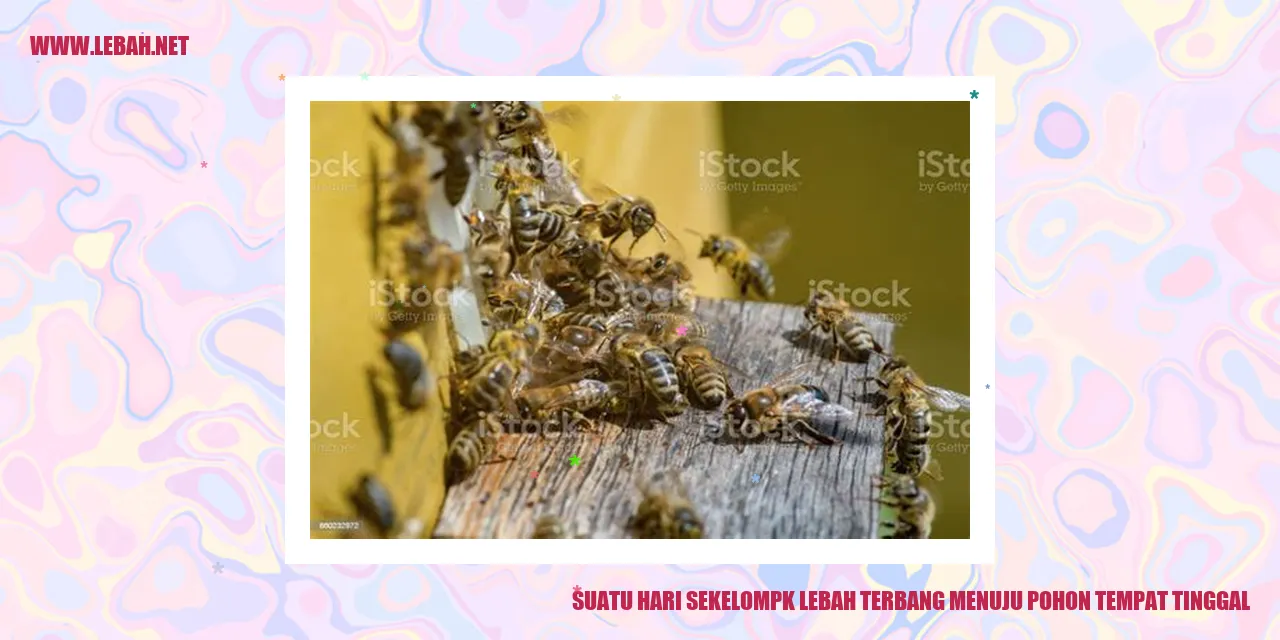 lebah di pohon tempat tinggal