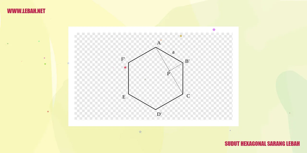 sudut hexagonal sarang lebah