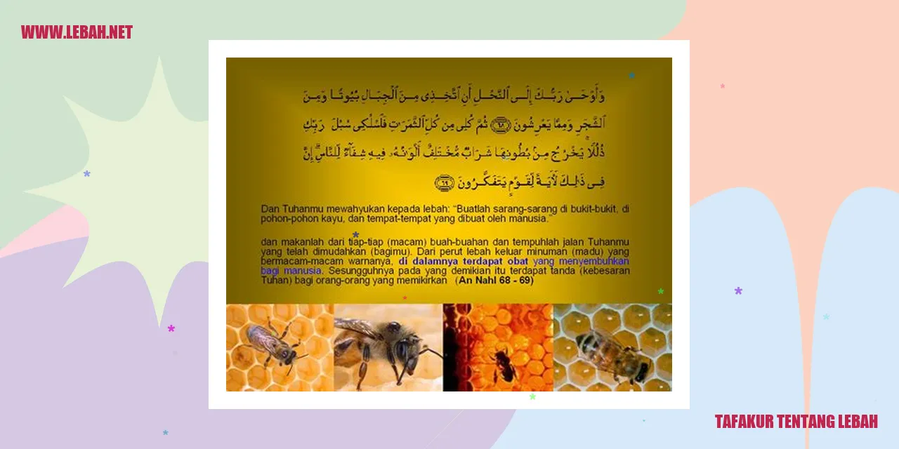 tafakur tentang lebah