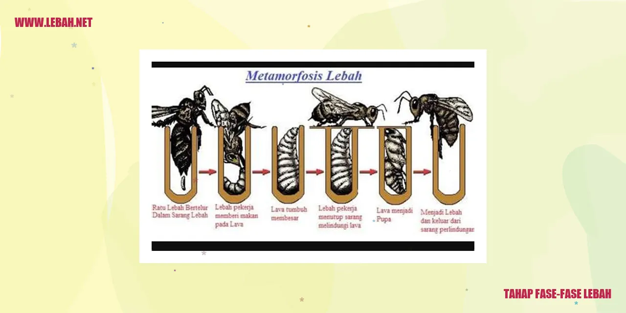 Ilustrasi telur lebah
