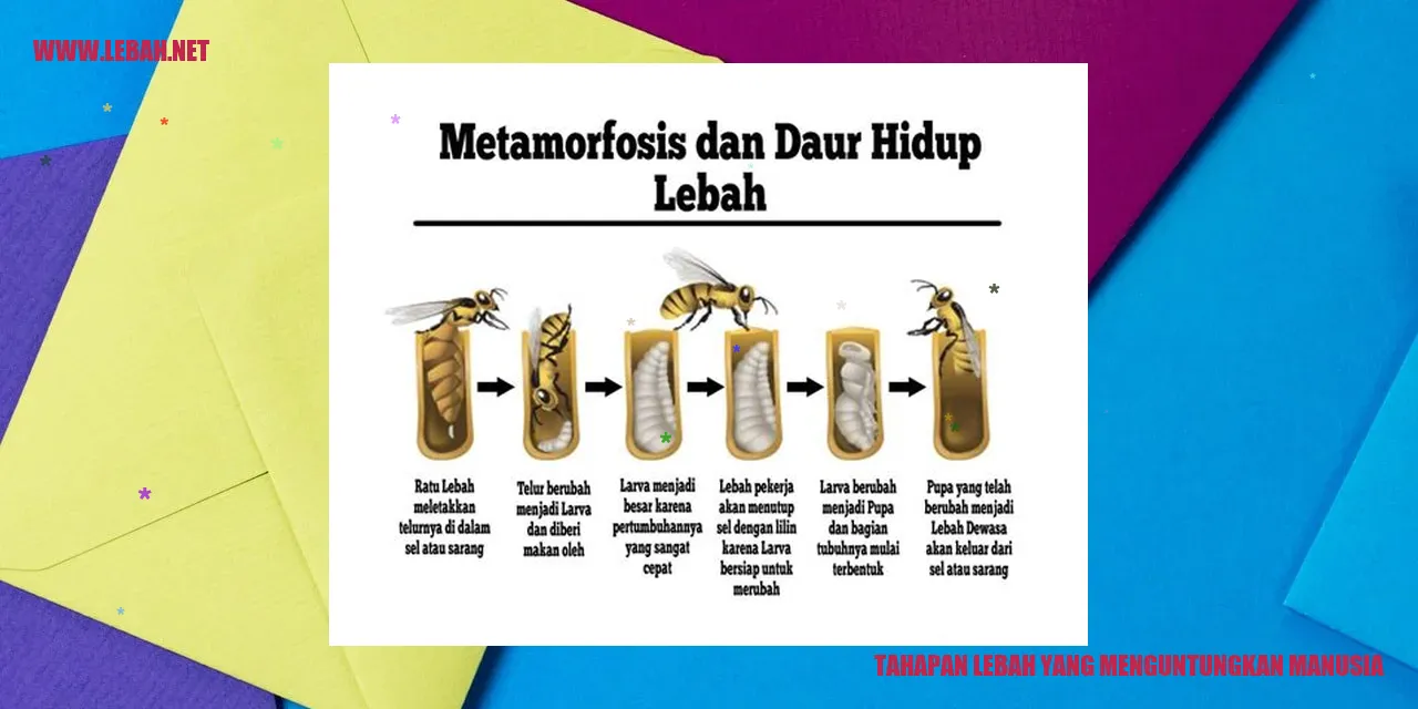 Gambar lebah
