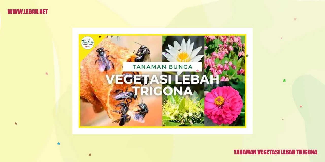 tanaman vegetasi lebah trigona