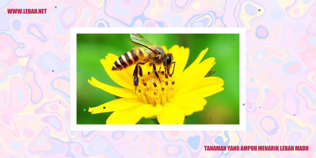 tanaman yang ampuh menarik lebah madu