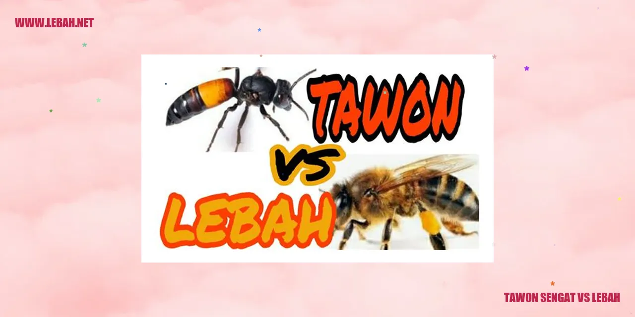 tawon sengat vs lebah
