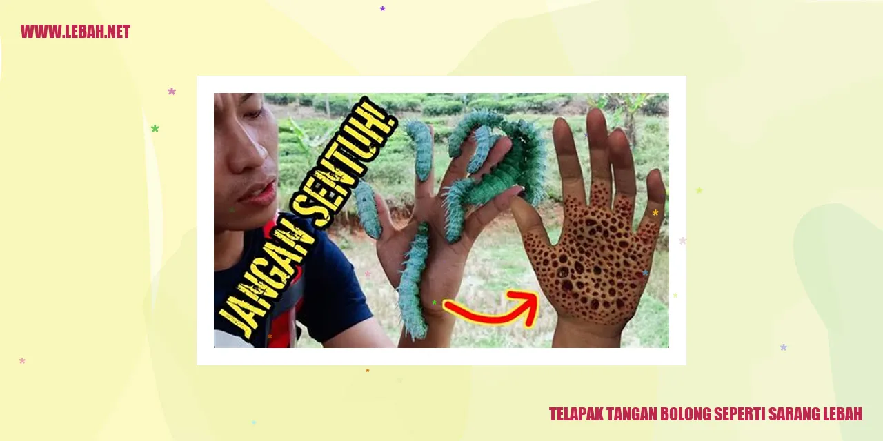 Telapak Tangan Bolong Seperti Sarang Lebah