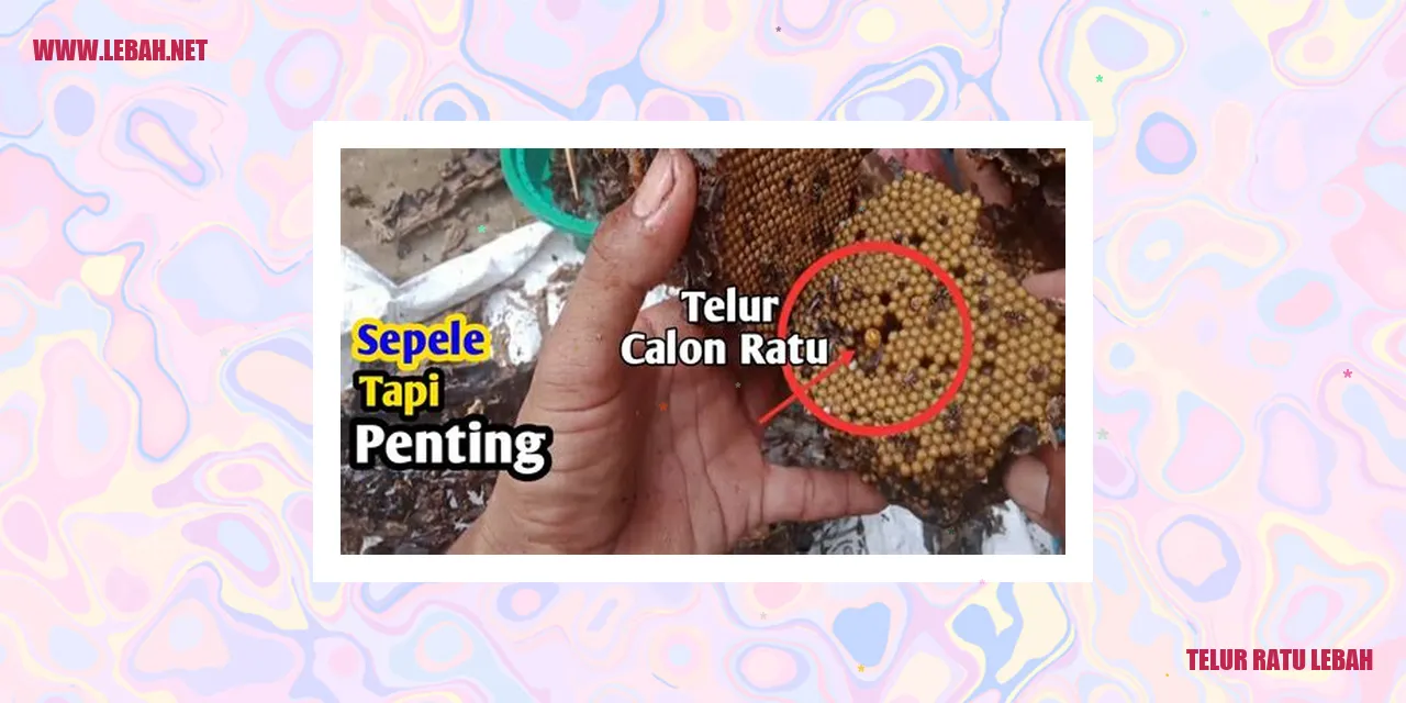 telur ratu lebah