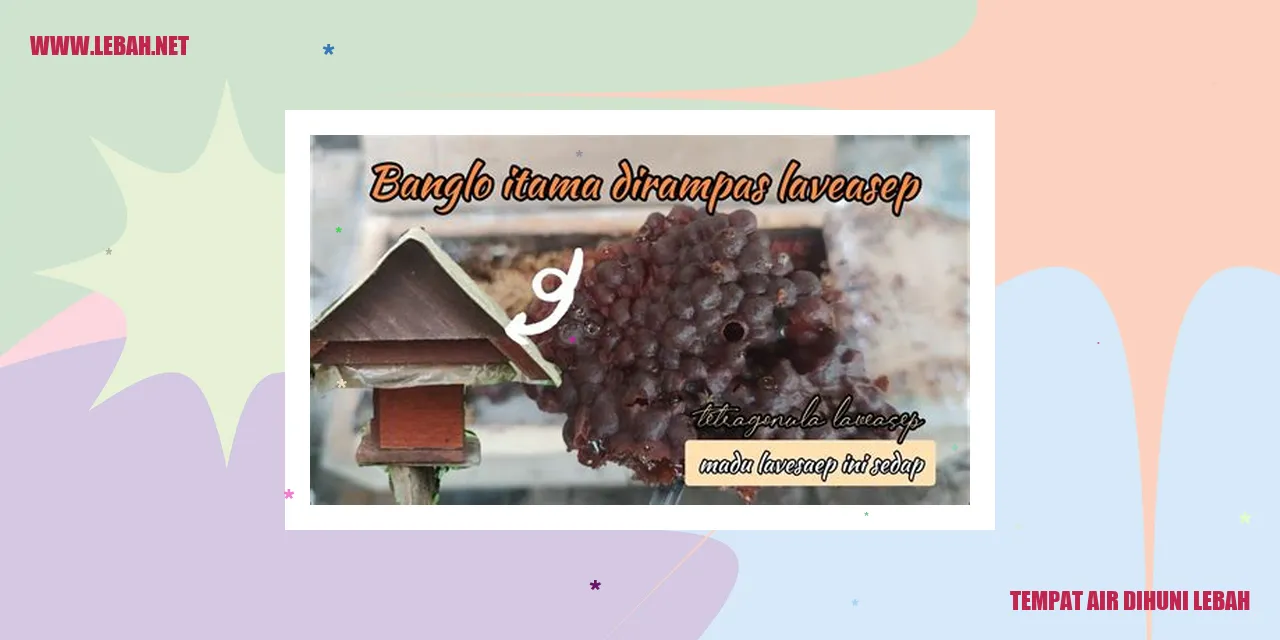 Tempat Air Dihuni Lebah