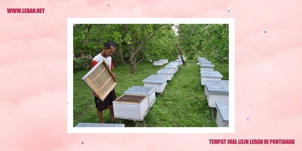 Tempat Jual Lilin Lebah di Pontianak