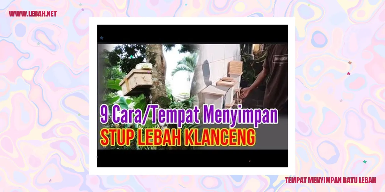 Gambar 1: Kotak Lebah Tradisional