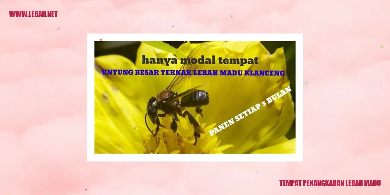 tempat penangkaran lebah madu