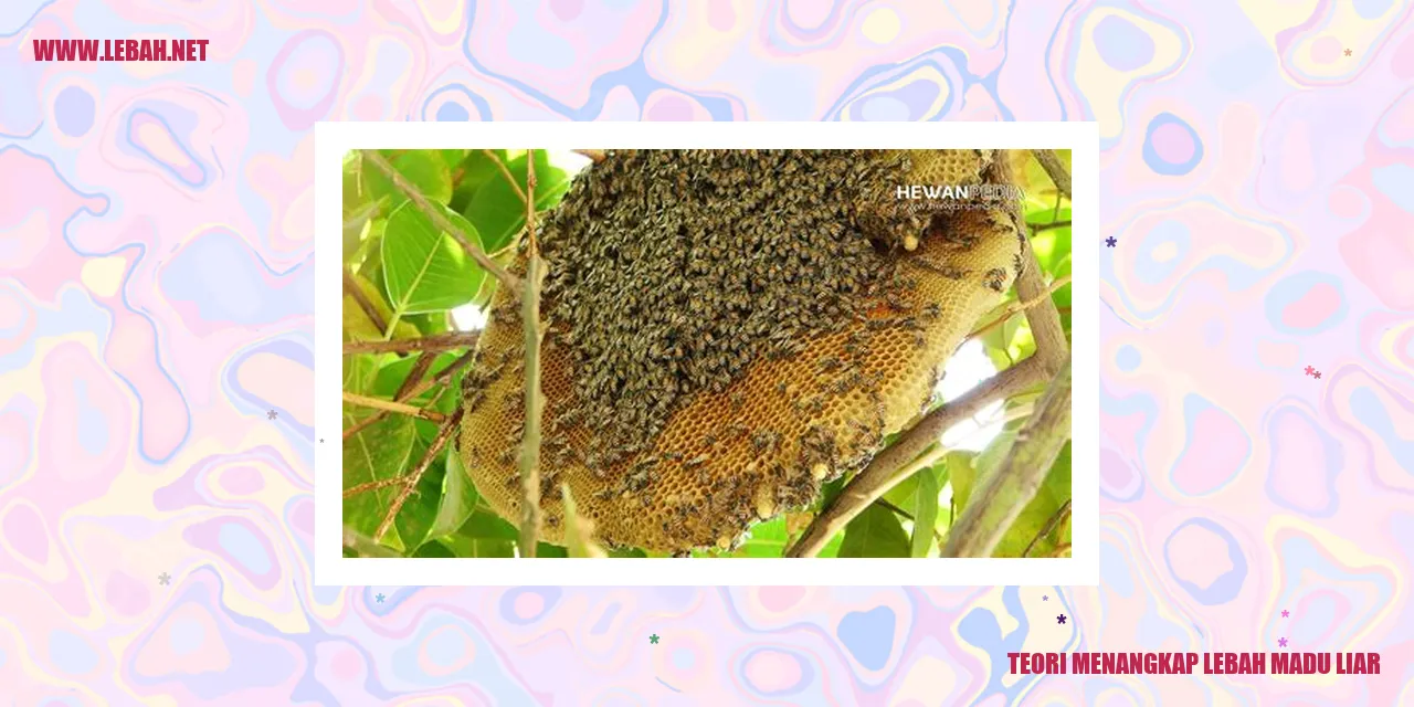 Lebah Madu Liar