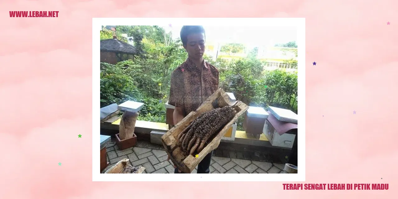 Terapi Sengat Lebah di Petik Madu