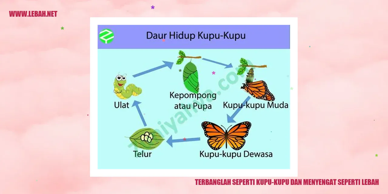terbanglah seperti kupu-kupu dan menyengat seperti lebah