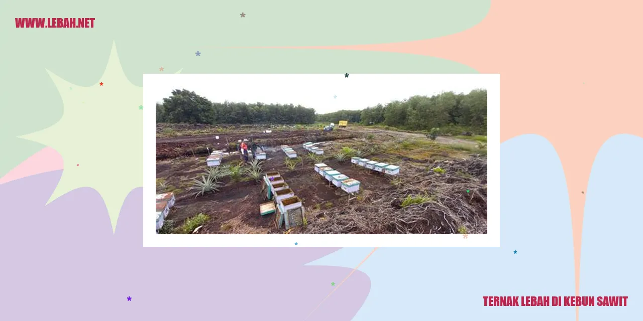 Ternak Lebah di Kebun Sawit