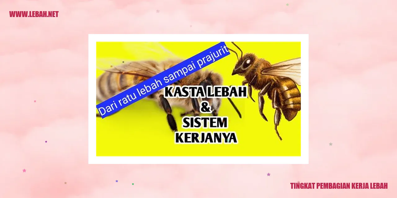 Tingkat Pembagian Kerja Lebah