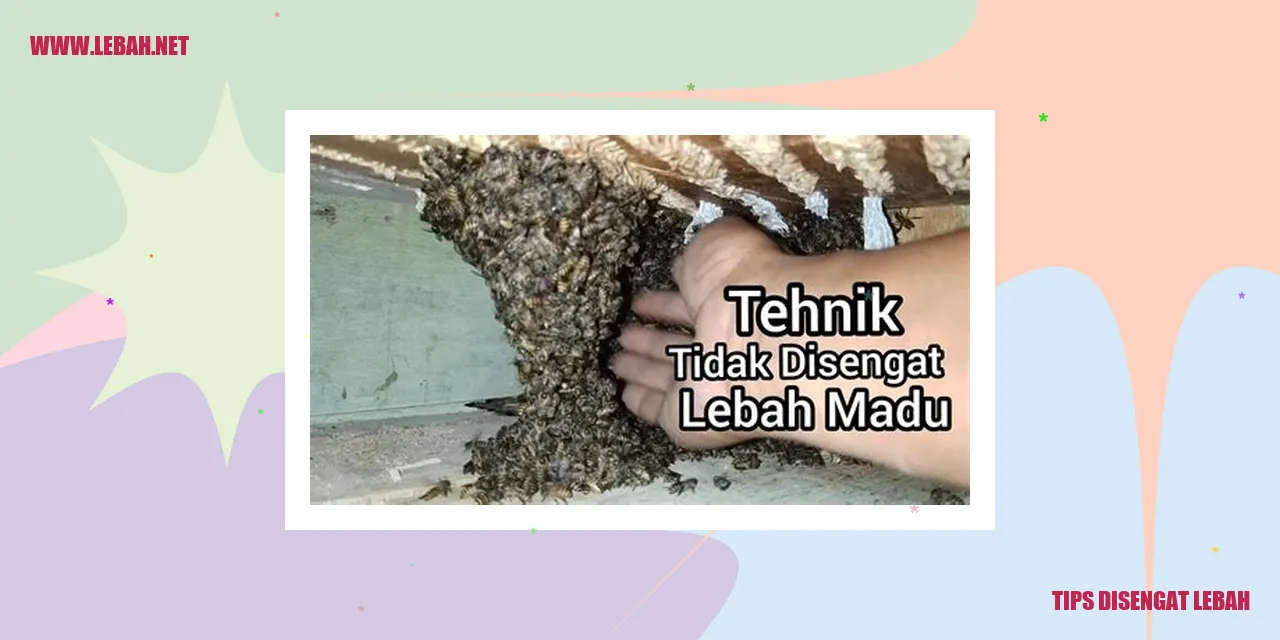 jenis-jenis lebah