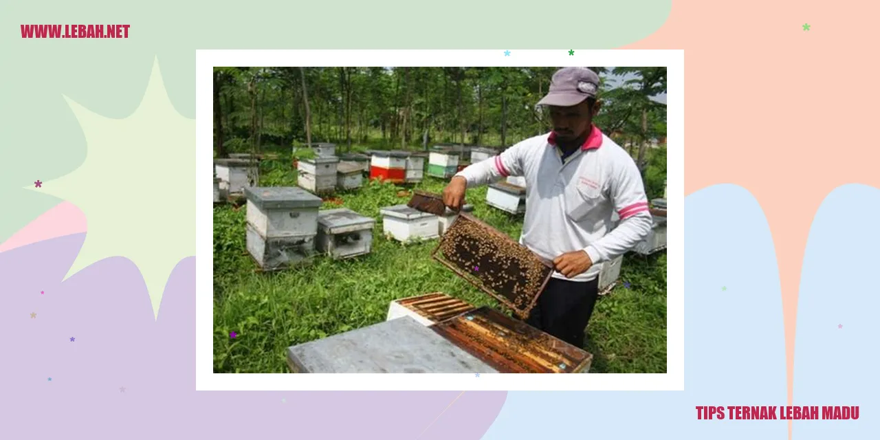Tips Ternak Lebah Madu