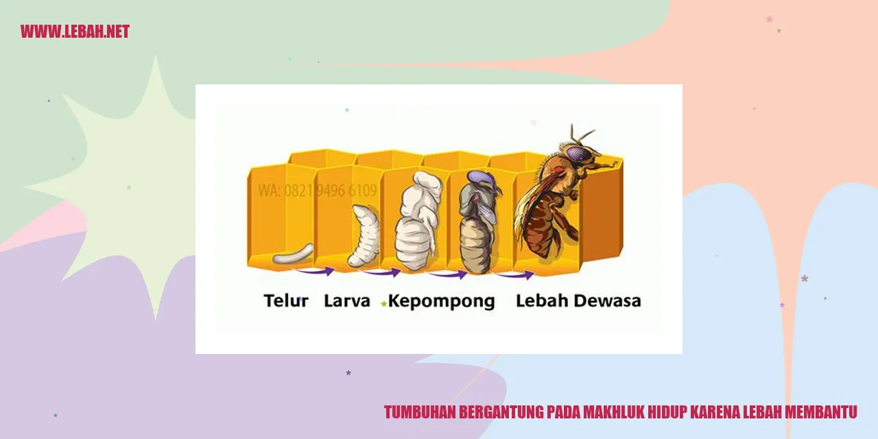 Tumbuhan Bergantung pada Makhluk Hidup