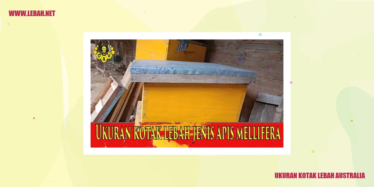 Ukuran Kotak Lebah Australia