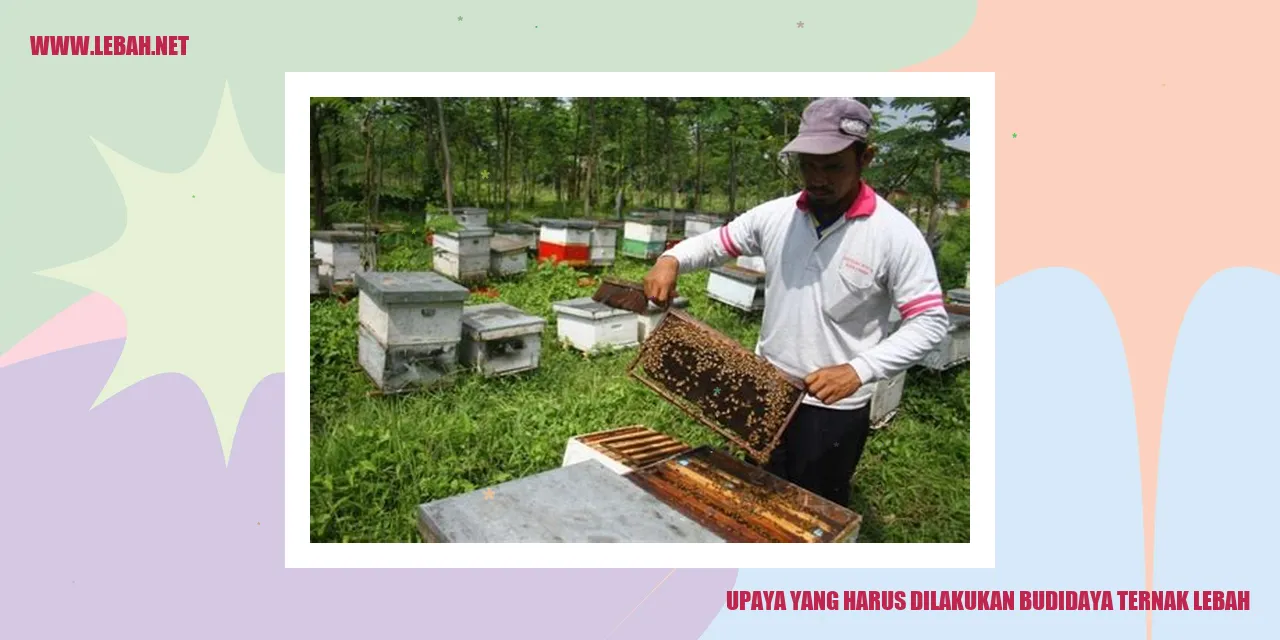Upaya yang Harus Dilakukan dalam Budidaya Ternak Lebah