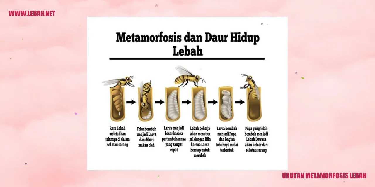 Telur Lebah