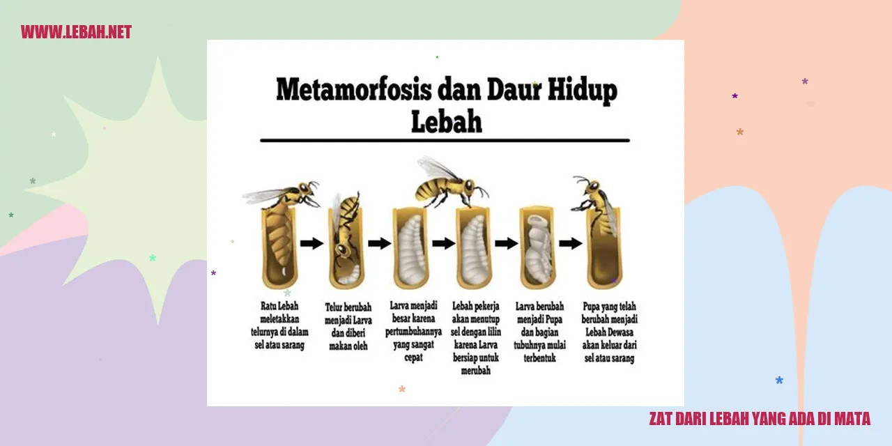 zat dari lebah yang ada di mata